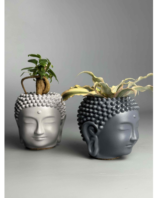 Кашпо Будда в асортименте