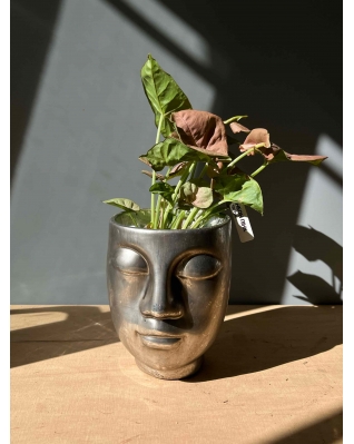 Горщик "Обличчя" металлік 12см