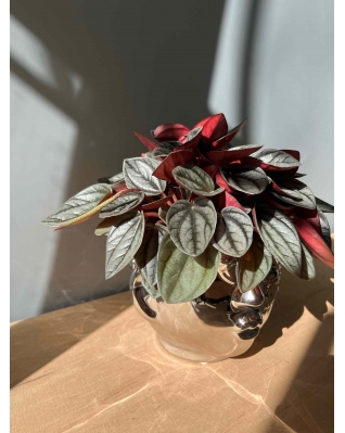 Горщик "Металлік" 13 см