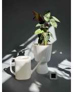 Набір Total White