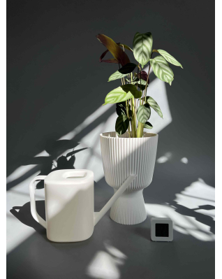 Набір Total White