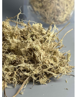 Мох сфагнум 1л