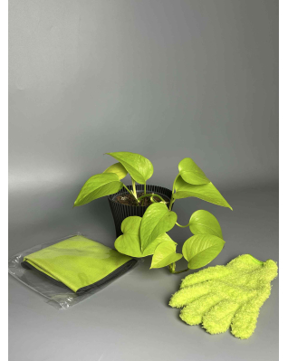 Набір Neon lover