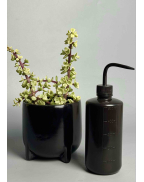 Набір total black