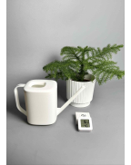 Набір Total White