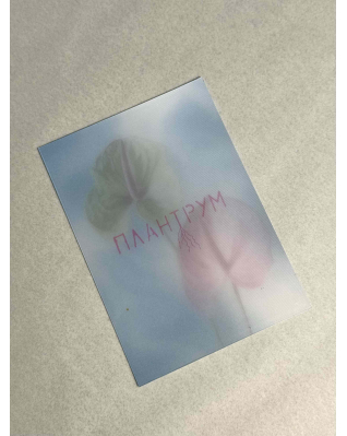 Подарунковий сертифікат