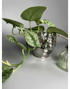 Набор парфумер 