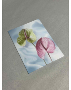 Подарочный сертификат