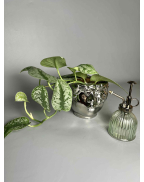 Набор парфумер 