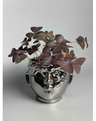 Кашпо Дівчинка в асортименті