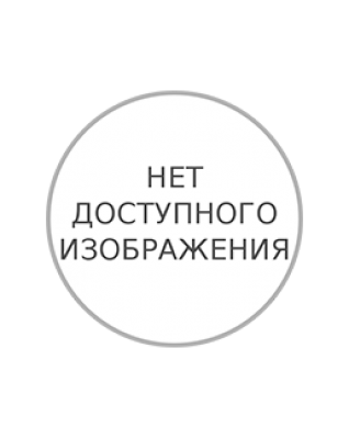 Фикус Эластика 60см Фикус Эластика 60см